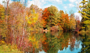 Nous joindre automne