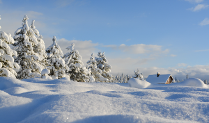 Tarif hiver
