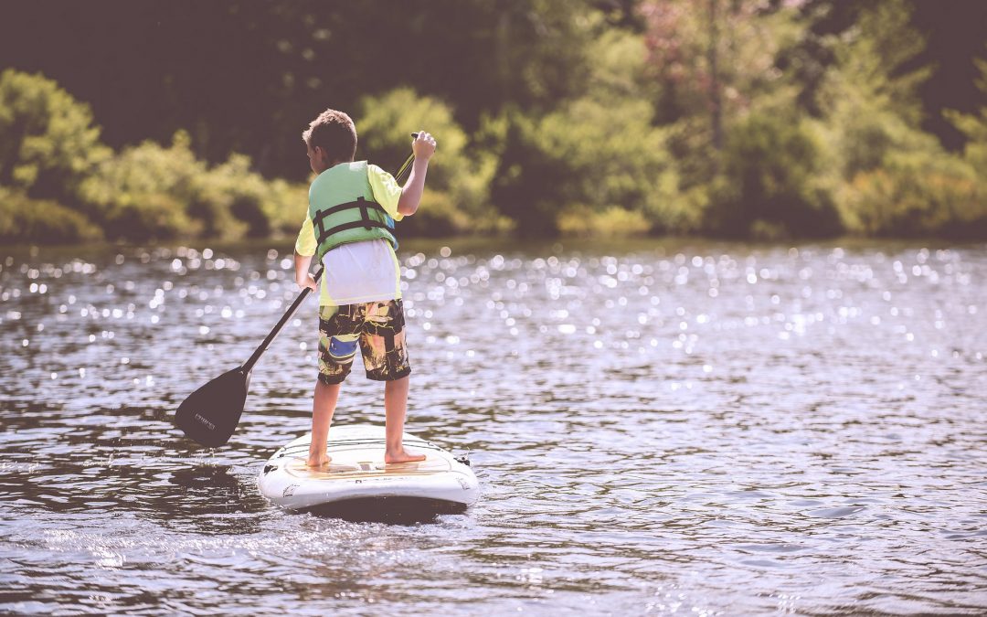 Paddle Board