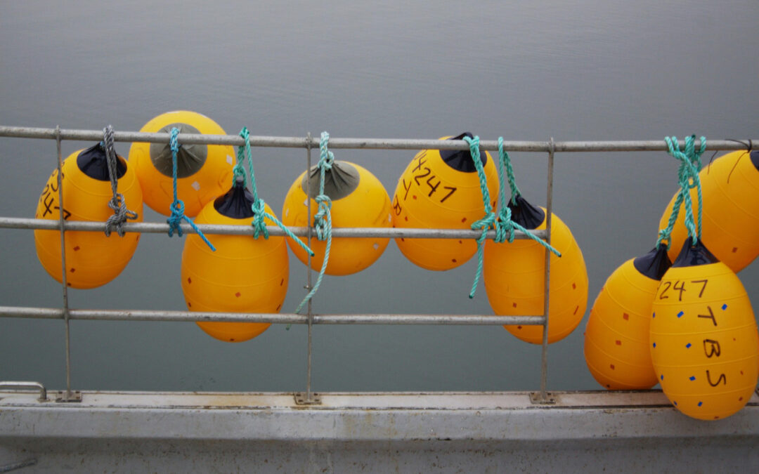 expérience_pêche_commerciale