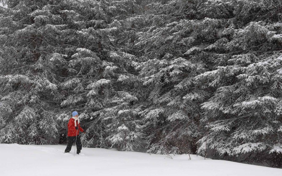 Snowshoeing